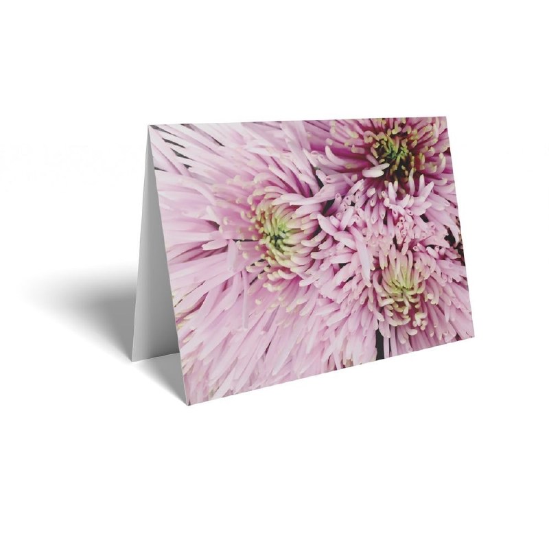 Picture of Florist Folding Cards x 25 Pink