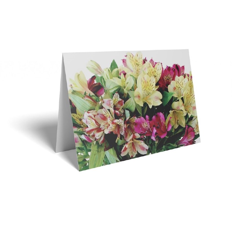 Picture of Florist Folding Cards x 25 Mixed