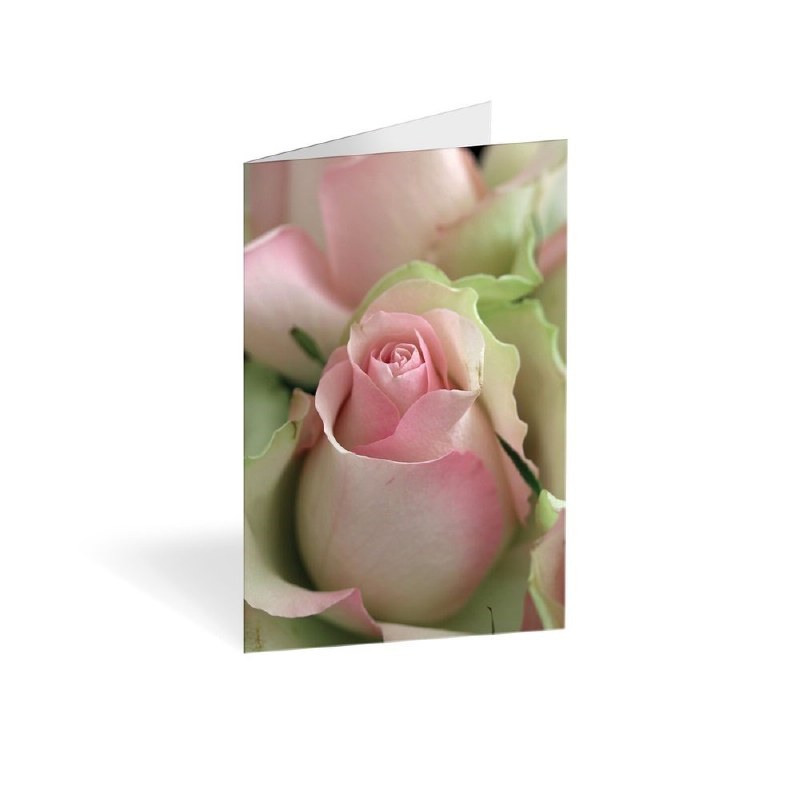 Picture of Florist Folding Cards x 25 Pink