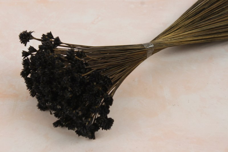 Dried Hill Flower Black 100g