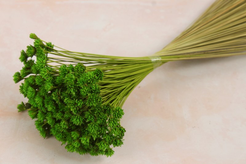 Dried Hill Flower Green 100g