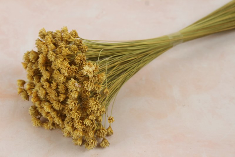 Dried Hill Flower Natural 100g