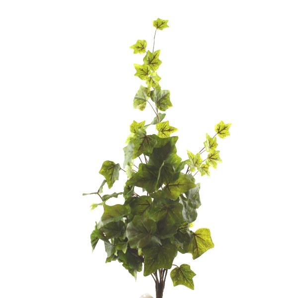 Frosted ivy bunch x 78 leaves