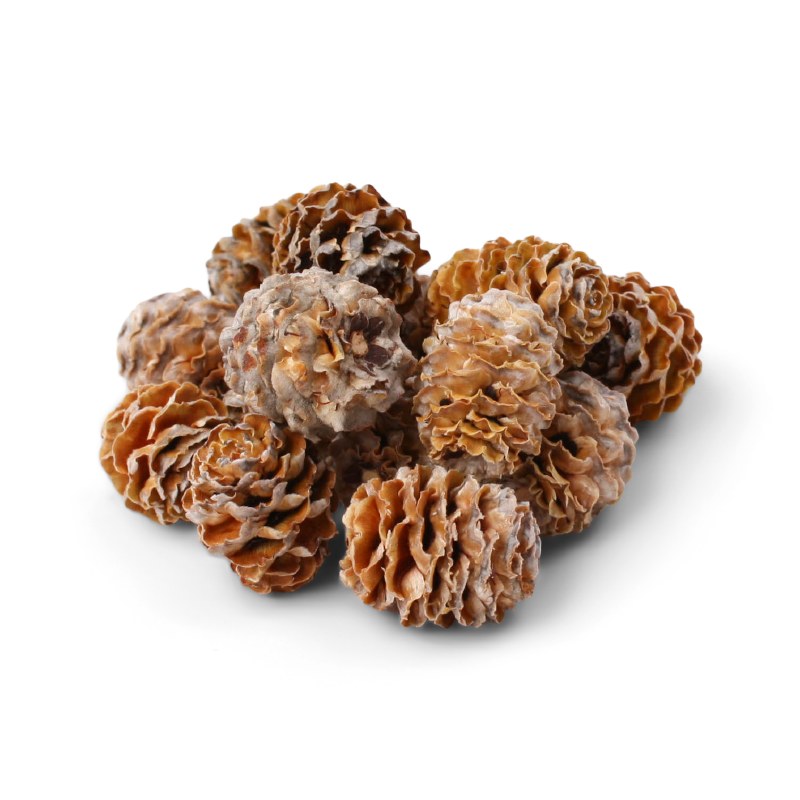 Larch Cones 500g Natural