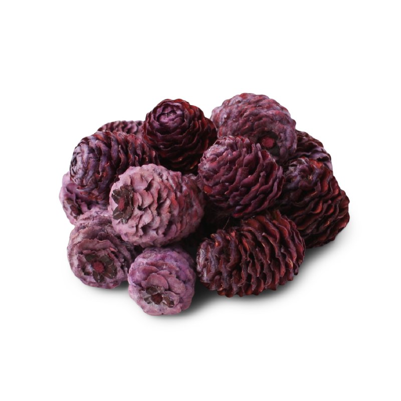 Larch Cones 500g Blackberry