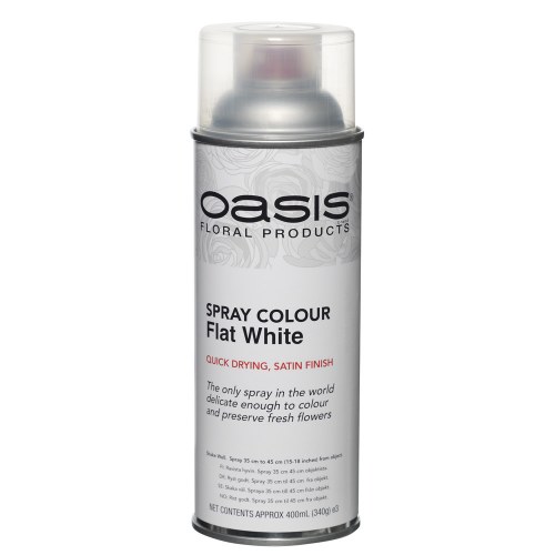 Oasis Floral Spray Paint Colour Chart