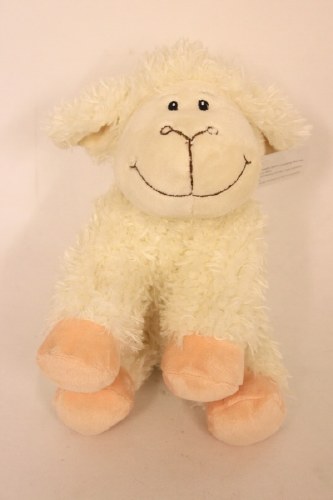 teddy lamb