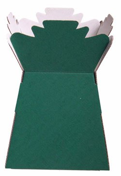 Picture of Box of 30 green florist living vases