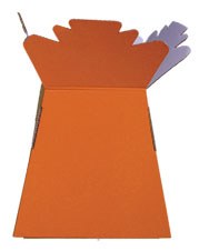 Picture of 30 x Orange living vases