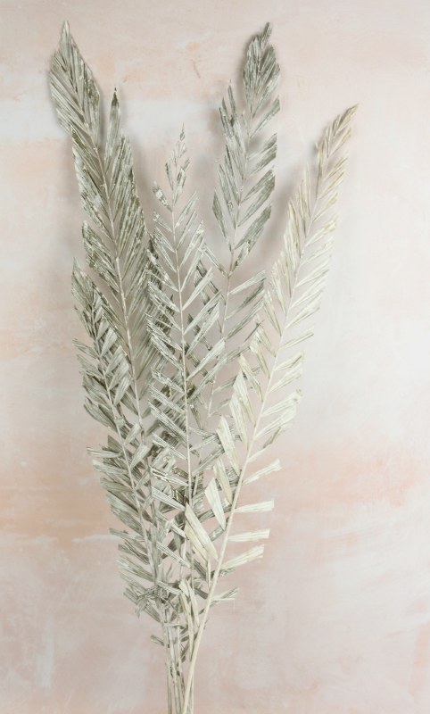 Dried Mexicana Leaves x 5 White Wash