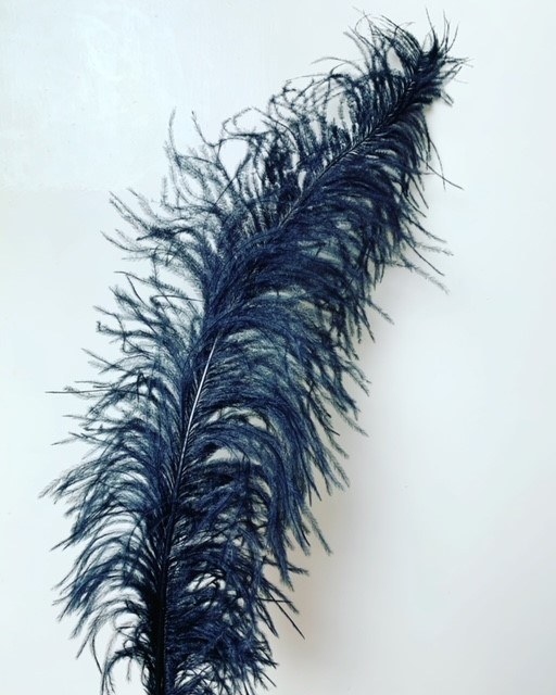 5 x Ostrich feathers black