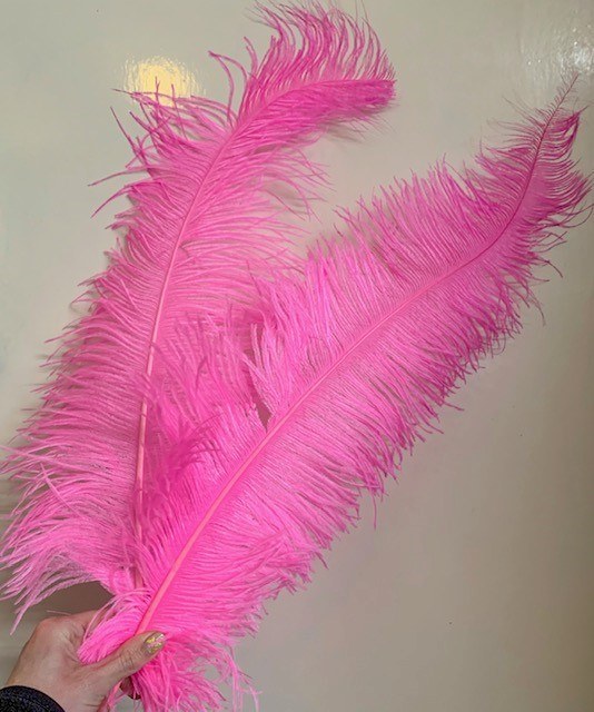 Ostrich Feathers Fuscshia x 5 pcs