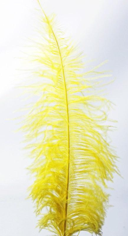 Ostrich Feathers Yellow x 5