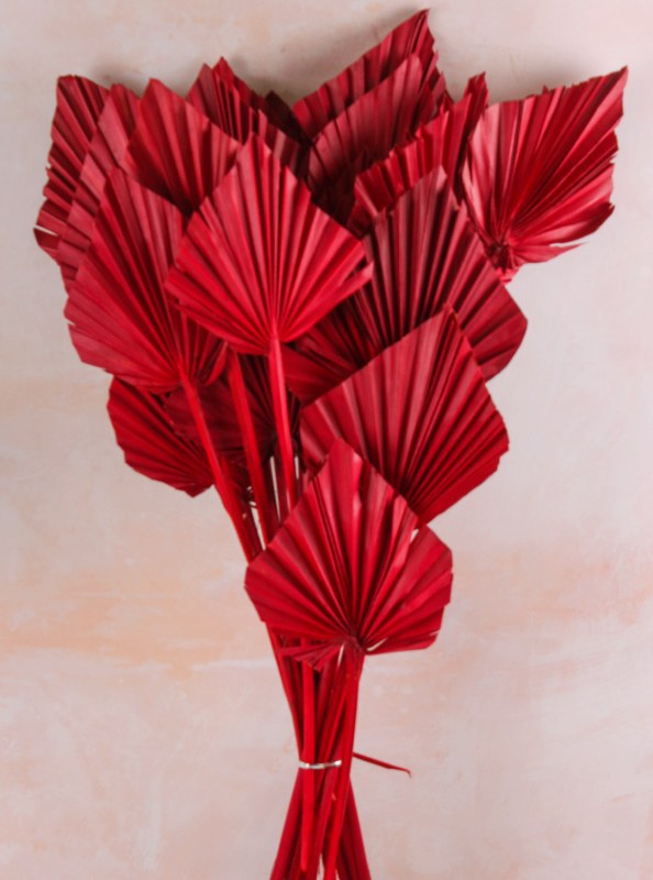 Picture of Dried PalmSpear x 20 Red