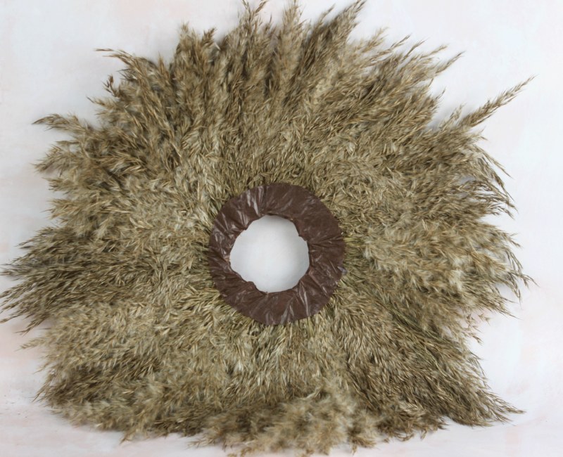Picture of Dried Pampas Ring 50cm Cardboard