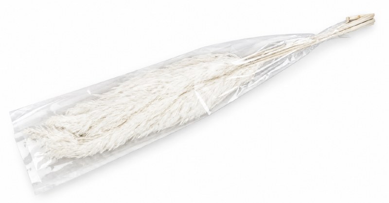 Dried Paper White Wild Plume 75cm