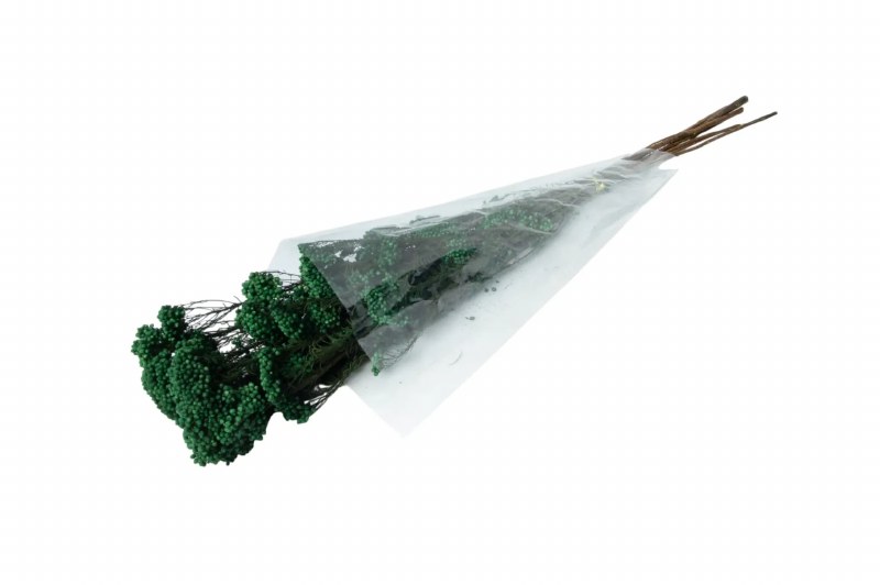 Preserved Rice Flower Dark Green