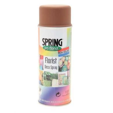 Florist Spray Paint Rust Brown 400ml
