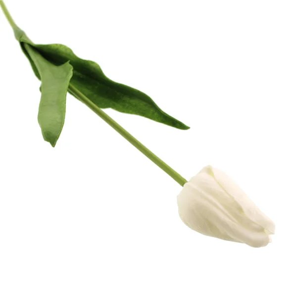 Real Touch Faux Tulip Stem 60cm White