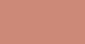 Picture of Florist Spray Paint Satinwood 400ml