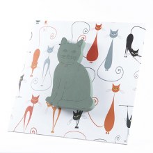 Oasis foto floral foam cat 59x59cm