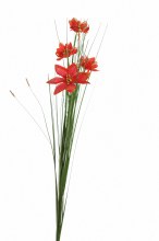 Christmas red poinsettia flower 65cm