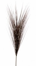 Christmas Onion Grass Black/ Gold 48"