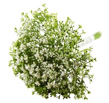 Artificial Gyp Bundle 30cm