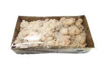 Florist Icelandic Moss Misty White 500grams