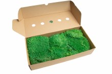 Florist Moss Hedgehod Medium Green