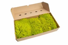 Floirst Icelandic Moss Spring Green 500grams