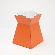 Florist Transporter Vases x 25 Orange