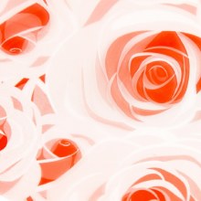 Florist Cellophane Wrap Roses Red 80cm x 100m Florist Cellophane Wrap Roses Red 80cm x 100m