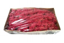 Florist Icelandic Moss Crimson 500grams