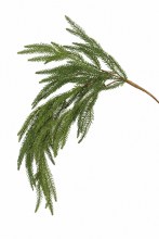 Artificial Spruce Hanging Pine Stem 100cm