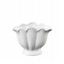 Ceramic Shell Vase 20cm x 10cm Ceramic Shell Vase 20cm x 10cm