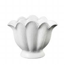 Ceramic Shell Vase 25cmx12cm Ceramic Shell Vase 25cmx12cm