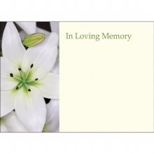 In loving memory white lily florist cards x 9 In loving memory white lily florist cards x 9