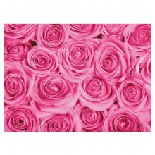 Folded Florist Cards Pink Rose x 25