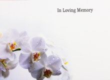 Florist Crads Large In Loving Memory x 9pcs