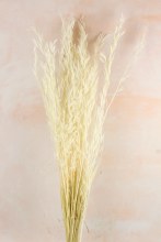 Dried White Oats Bundle Dried White Oats Bundle