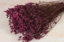 Dried Staticse 120g Lilac Dried Staticse 120g Lilac