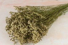 Dried Statice 120g White Natural Dried Statice 120g White Natural
