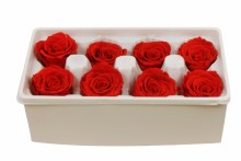 Additional picture of Preserved Roses( Box of 8) 6cm Red