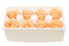 Additional picture of Preserved Roses( Box of 8) 6cm Peach