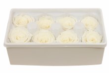 Additional picture of Preserved Roses( Box of 8) 6cm Cream