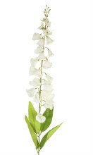 Artificial Foxglove Stem 100cm Pale Ivory