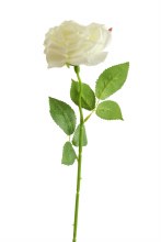 Artificial Single Stem Rose 48cm Ivory