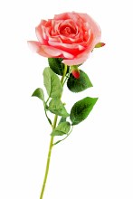 Single Stem Open Faux Rose Blush Pink 65cm Single Stem Open Faux Rose Blush Pink 65cm