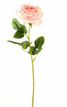 Single Stem Open Faux Rose Blush Pink 65cm